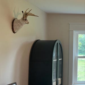 Dana added a photo of their purchase