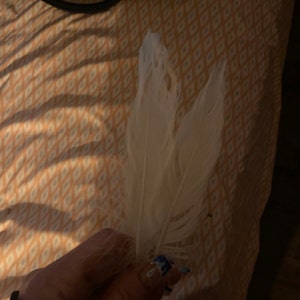 Rose added a photo of their purchase