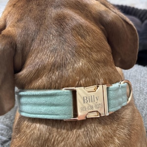 Amie added a photo of their purchase