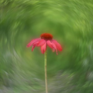 Michael ha aggiunto una foto del proprio acquisto