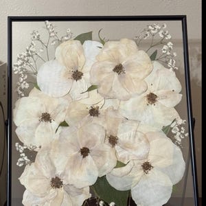 Judy added a photo of their purchase
