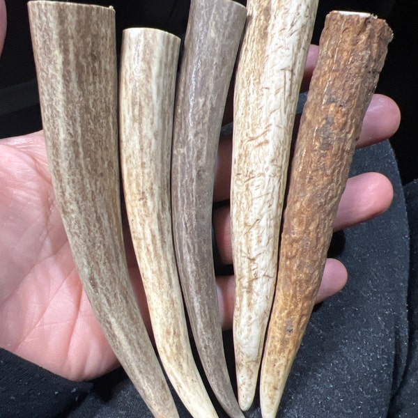 10 Deer Antler Tps Tnes Ponts 3 to 4 for Craftng, Jewelry