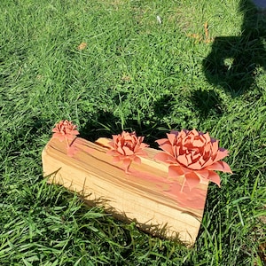 Mme added a photo of their purchase