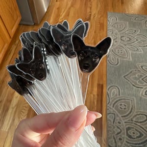laura added a photo of their purchase