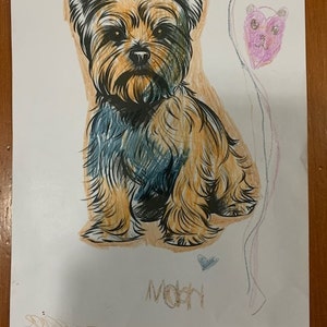 ヨークシャーテリアの塗り絵、犬の肖像画（PNG形式、即時ダウンロード