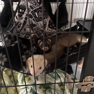 Delia added a photo of their purchase