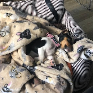 Charlotte added a photo of their purchase