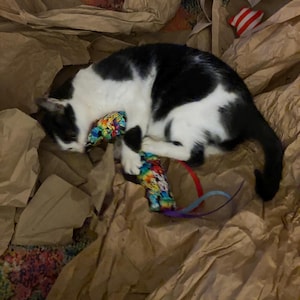 Heather added a photo of their purchase