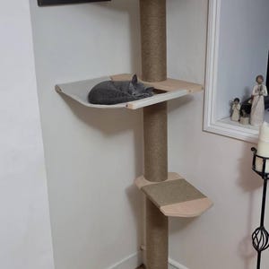 Tonie added a photo of their purchase