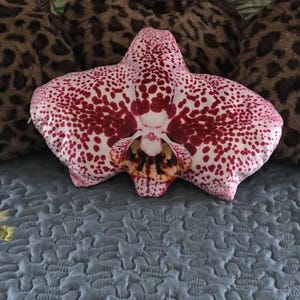 Patricia added a photo of their purchase