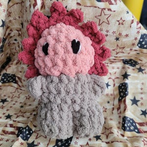 Sahm added a photo of their purchase