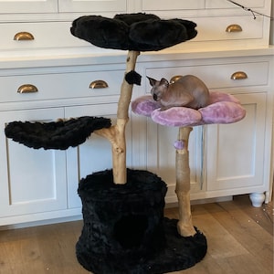 Virginia added a photo of their purchase