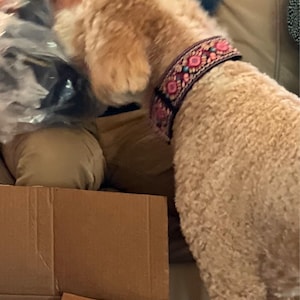 Debbie added a photo of their purchase