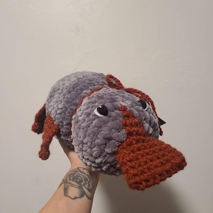 Colleen added a photo of their purchase