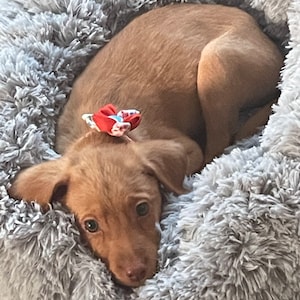 Meg added a photo of their purchase