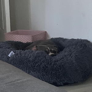 Louise added a photo of their purchase