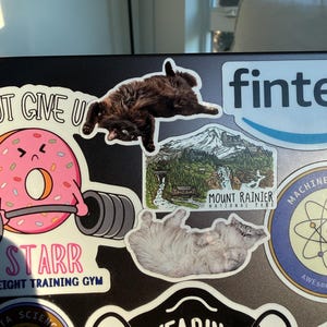 Manuel added a photo of their purchase
