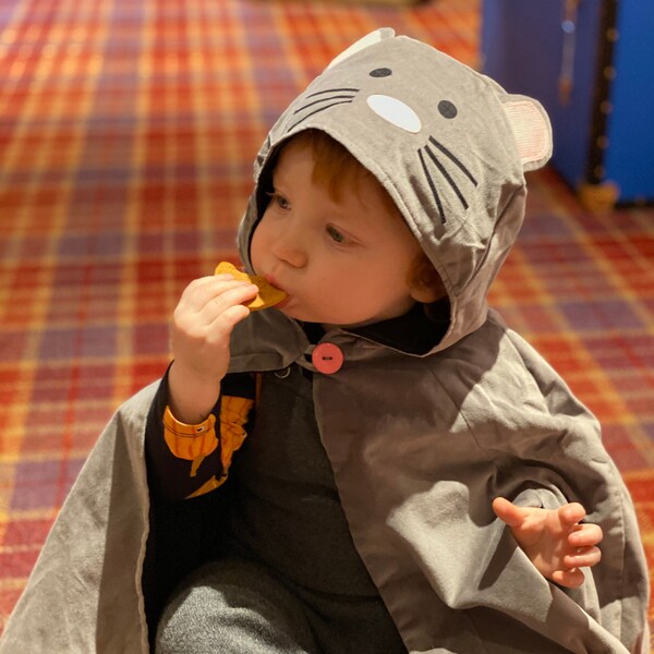 Mouse Fancy Cape in Grey Velvet - Etsy
