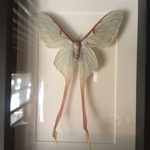 Daniel added a photo of their purchase