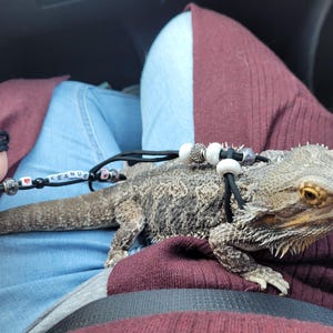 Kinzie added a photo of their purchase