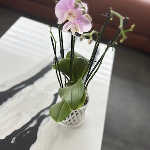 Maria added a photo of their purchase