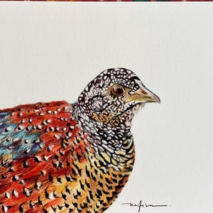 Brinda ha añadido una foto de su compra