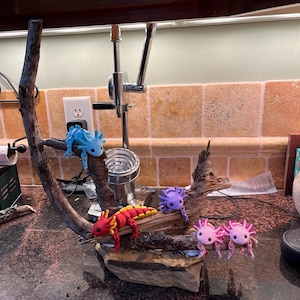 Mary added a photo of their purchase