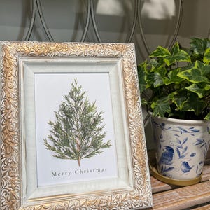 Monise heeft een foto van zijn/haar aankoop toegevoegd