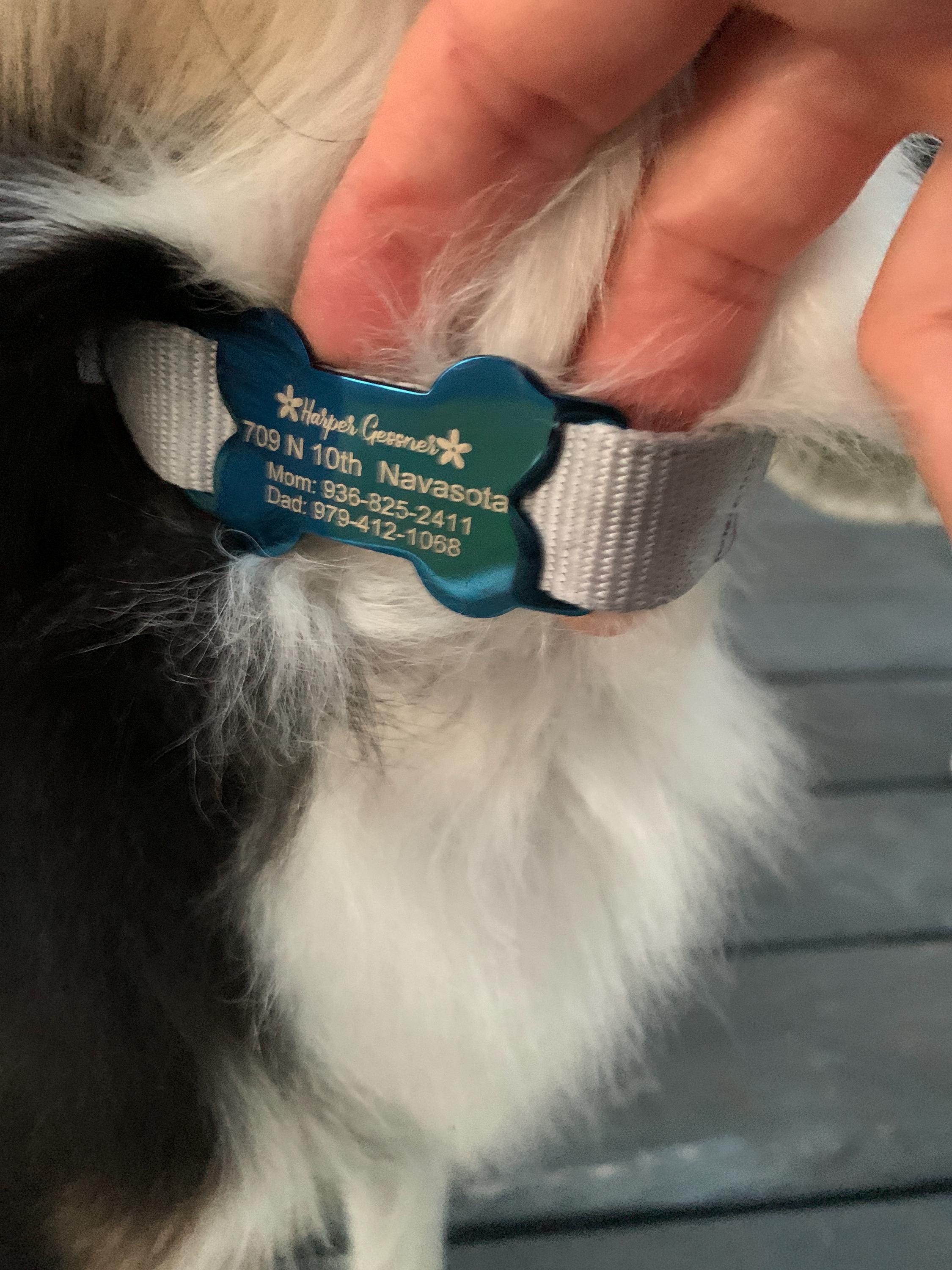 Silent dog tag personalized,Slide on dog tag,Dog Tags For Dogs,Custom Dog Name Tag,Engraved Pet ID Tag,Dog Tag Collar,Cat Tag,Puppy Tag