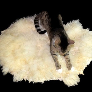 K. added a photo of their purchase