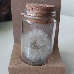 steffi added a photo of their purchase