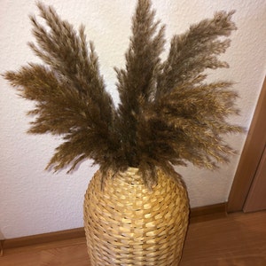 Sophie hat ein Foto des gekauften Artikels hinzugefügt