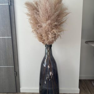 Isabelle added a photo of their purchase