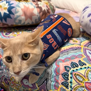 Hilly added a photo of their purchase