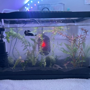 Gene's added a photo of their purchase