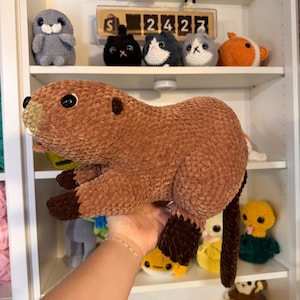 Mackenzie hat ein Foto des gekauften Artikels hinzugefügt