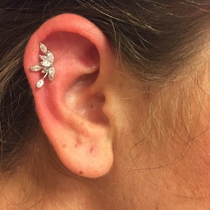 Jill added a photo of their purchase