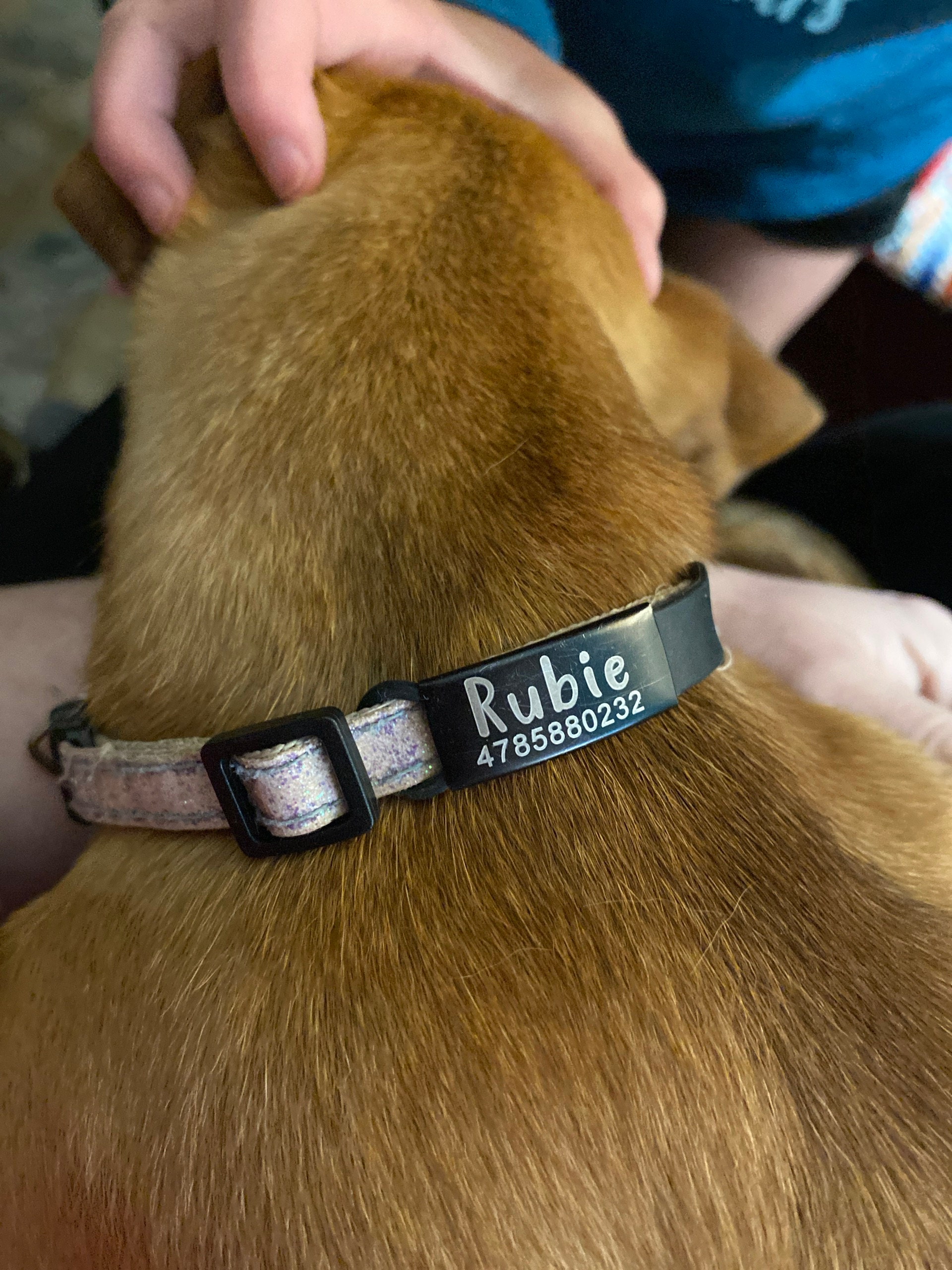 Custom Durable Slide Pet ID Tag🐶🐱,Personalized Name Silicone Dog Tag, Gift for Dog Owner