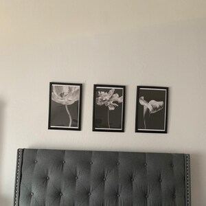 Tequila added a photo of their purchase