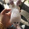 KNITTING PATTERN - White Mouse - Etsy
