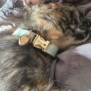 Lindsey added a photo of their purchase