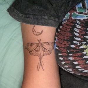 Luna Moth Temporary Tattoo Black Line Tattoo Winged Insect Etsy