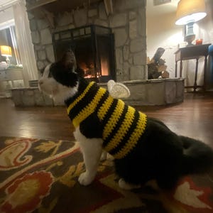 Beetle added a photo of their purchase