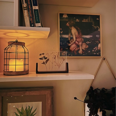 And the Horse You Rode in on 8x10 Print - Etsy