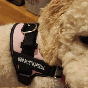 Lindsey added a photo of their purchase