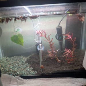 Andrew hat ein Foto des gekauften Artikels hinzugefügt