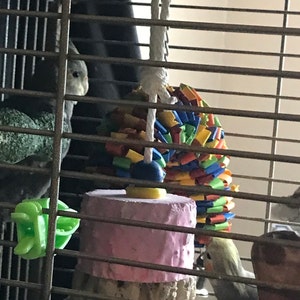 Christeen added a photo of their purchase