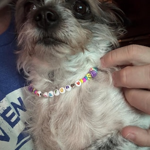 Ciarra added a photo of their purchase