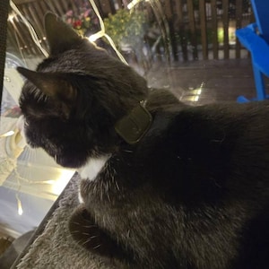 Maggie added a photo of their purchase