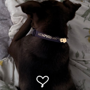 Hailie added a photo of their purchase